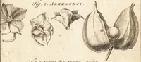 Picture 26 of 153 from A new and complete dictionary of arts and sciences : comprehending all the branches of useful knowledge, with accurate descriptions as well of the various machines, instruments, tools, figures, and schemes necessary for illustrating them, as of the classes, kinds, preparations, and uses of natural productions, whether animals, vegetables, minerals, fossils, or fluids : together with the kingdoms, provinces, cities, towns, and other remarkable places throughout the world : illustrated with above three hundred copper-plates, engraved by Mr. Jefferys, geographer to His Majesty : the whole extracted from the best authors in all languages (1763), leaf 154