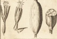 Picture 28 of 153 from A new and complete dictionary of arts and sciences : comprehending all the branches of useful knowledge, with accurate descriptions as well of the various machines, instruments, tools, figures, and schemes necessary for illustrating them, as of the classes, kinds, preparations, and uses of natural productions, whether animals, vegetables, minerals, fossils, or fluids : together with the kingdoms, provinces, cities, towns, and other remarkable places throughout the world : illustrated with above three hundred copper-plates, engraved by Mr. Jefferys, geographer to His Majesty : the whole extracted from the best authors in all languages (1763), leaf 154