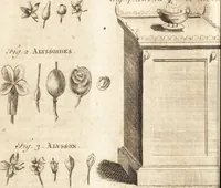 Picture 29 of 153 from A new and complete dictionary of arts and sciences : comprehending all the branches of useful knowledge, with accurate descriptions as well of the various machines, instruments, tools, figures, and schemes necessary for illustrating them, as of the classes, kinds, preparations, and uses of natural productions, whether animals, vegetables, minerals, fossils, or fluids : together with the kingdoms, provinces, cities, towns, and other remarkable places throughout the world : illustrated with above three hundred copper-plates, engraved by Mr. Jefferys, geographer to His Majesty : the whole extracted from the best authors in all languages (1763), leaf 161