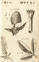 An illustration from A new and complete dictionary of arts and sciences : comprehending all the branches of useful knowledge, with accurate descriptions as well of the various machines, instruments, tools, figures, and schemes necessary for illustrating them, as of the classes, kinds, preparations, and uses of natural productions, whether animals, vegetables, minerals, fossils, or fluids : together with the kingdoms, provinces, cities, towns, and other remarkable places throughout the world : illustrated with above three hundred copper-plates, engraved by Mr. Jefferys, geographer to His Majesty : the whole extracted from the best authors in all languages (1763)