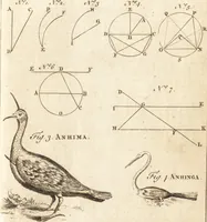 Picture 36 of 153 from A new and complete dictionary of arts and sciences : comprehending all the branches of useful knowledge, with accurate descriptions as well of the various machines, instruments, tools, figures, and schemes necessary for illustrating them, as of the classes, kinds, preparations, and uses of natural productions, whether animals, vegetables, minerals, fossils, or fluids : together with the kingdoms, provinces, cities, towns, and other remarkable places throughout the world : illustrated with above three hundred copper-plates, engraved by Mr. Jefferys, geographer to His Majesty : the whole extracted from the best authors in all languages (1763), leaf 208