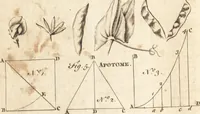 Picture 41 of 153 from A new and complete dictionary of arts and sciences : comprehending all the branches of useful knowledge, with accurate descriptions as well of the various machines, instruments, tools, figures, and schemes necessary for illustrating them, as of the classes, kinds, preparations, and uses of natural productions, whether animals, vegetables, minerals, fossils, or fluids : together with the kingdoms, provinces, cities, towns, and other remarkable places throughout the world : illustrated with above three hundred copper-plates, engraved by Mr. Jefferys, geographer to His Majesty : the whole extracted from the best authors in all languages (1763), leaf 237