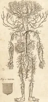 An illustration from A new and complete dictionary of arts and sciences : comprehending all the branches of useful knowledge, with accurate descriptions as well of the various machines, instruments, tools, figures, and schemes necessary for illustrating them, as of the classes, kinds, preparations, and uses of natural productions, whether animals, vegetables, minerals, fossils, or fluids : together with the kingdoms, provinces, cities, towns, and other remarkable places throughout the world : illustrated with above three hundred copper-plates, engraved by Mr. Jefferys, geographer to His Majesty : the whole extracted from the best authors in all languages (1763)