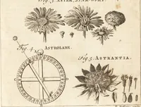 Picture 52 of 153 from A new and complete dictionary of arts and sciences : comprehending all the branches of useful knowledge, with accurate descriptions as well of the various machines, instruments, tools, figures, and schemes necessary for illustrating them, as of the classes, kinds, preparations, and uses of natural productions, whether animals, vegetables, minerals, fossils, or fluids : together with the kingdoms, provinces, cities, towns, and other remarkable places throughout the world : illustrated with above three hundred copper-plates, engraved by Mr. Jefferys, geographer to His Majesty : the whole extracted from the best authors in all languages (1763), leaf 284