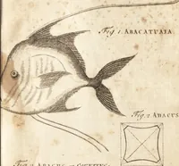 Picture 2 of 153 from A new and complete dictionary of arts and sciences : comprehending all the branches of useful knowledge, with accurate descriptions as well of the various machines, instruments, tools, figures, and schemes necessary for illustrating them, as of the classes, kinds, preparations, and uses of natural productions, whether animals, vegetables, minerals, fossils, or fluids : together with the kingdoms, provinces, cities, towns, and other remarkable places throughout the world : illustrated with above three hundred copper-plates, engraved by Mr. Jefferys, geographer to His Majesty : the whole extracted from the best authors in all languages (1763), leaf 30