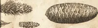 Picture 3 of 153 from A new and complete dictionary of arts and sciences : comprehending all the branches of useful knowledge, with accurate descriptions as well of the various machines, instruments, tools, figures, and schemes necessary for illustrating them, as of the classes, kinds, preparations, and uses of natural productions, whether animals, vegetables, minerals, fossils, or fluids : together with the kingdoms, provinces, cities, towns, and other remarkable places throughout the world : illustrated with above three hundred copper-plates, engraved by Mr. Jefferys, geographer to His Majesty : the whole extracted from the best authors in all languages (1763), leaf 30