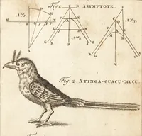 Picture 53 of 153 from A new and complete dictionary of arts and sciences : comprehending all the branches of useful knowledge, with accurate descriptions as well of the various machines, instruments, tools, figures, and schemes necessary for illustrating them, as of the classes, kinds, preparations, and uses of natural productions, whether animals, vegetables, minerals, fossils, or fluids : together with the kingdoms, provinces, cities, towns, and other remarkable places throughout the world : illustrated with above three hundred copper-plates, engraved by Mr. Jefferys, geographer to His Majesty : the whole extracted from the best authors in all languages (1763), leaf 310