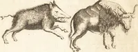 An illustration from A new and complete dictionary of arts and sciences : comprehending all the branches of useful knowledge, with accurate descriptions as well of the various machines, instruments, tools, figures, and schemes necessary for illustrating them, as of the classes, kinds, preparations, and uses of natural productions, whether animals, vegetables, minerals, fossils, or fluids : together with the kingdoms, provinces, cities, towns, and other remarkable places throughout the world : illustrated with above three hundred copper-plates, engraved by Mr. Jefferys, geographer to His Majesty : the whole extracted from the best authors in all languages (1763)