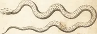 Picture 68 of 153 from A new and complete dictionary of arts and sciences : comprehending all the branches of useful knowledge, with accurate descriptions as well of the various machines, instruments, tools, figures, and schemes necessary for illustrating them, as of the classes, kinds, preparations, and uses of natural productions, whether animals, vegetables, minerals, fossils, or fluids : together with the kingdoms, provinces, cities, towns, and other remarkable places throughout the world : illustrated with above three hundred copper-plates, engraved by Mr. Jefferys, geographer to His Majesty : the whole extracted from the best authors in all languages (1763), leaf 408