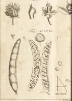Picture 4 of 153 from A new and complete dictionary of arts and sciences : comprehending all the branches of useful knowledge, with accurate descriptions as well of the various machines, instruments, tools, figures, and schemes necessary for illustrating them, as of the classes, kinds, preparations, and uses of natural productions, whether animals, vegetables, minerals, fossils, or fluids : together with the kingdoms, provinces, cities, towns, and other remarkable places throughout the world : illustrated with above three hundred copper-plates, engraved by Mr. Jefferys, geographer to His Majesty : the whole extracted from the best authors in all languages (1763), leaf 41