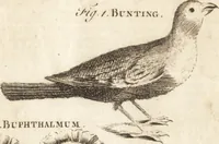 Picture 72 of 153 from A new and complete dictionary of arts and sciences : comprehending all the branches of useful knowledge, with accurate descriptions as well of the various machines, instruments, tools, figures, and schemes necessary for illustrating them, as of the classes, kinds, preparations, and uses of natural productions, whether animals, vegetables, minerals, fossils, or fluids : together with the kingdoms, provinces, cities, towns, and other remarkable places throughout the world : illustrated with above three hundred copper-plates, engraved by Mr. Jefferys, geographer to His Majesty : the whole extracted from the best authors in all languages (1763), leaf 492