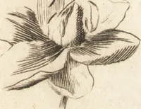 An illustration from A new and complete dictionary of arts and sciences : comprehending all the branches of useful knowledge, with accurate descriptions as well of the various machines, instruments, tools, figures, and schemes necessary for illustrating them, as of the classes, kinds, preparations, and uses of natural productions, whether animals, vegetables, minerals, fossils, or fluids : together with the kingdoms, provinces, cities, towns, and other remarkable places throughout the world : illustrated with above three hundred copper-plates, engraved by Mr. Jefferys, geographer to His Majesty : the whole extracted from the best authors in all languages (1763)