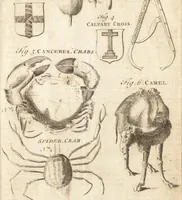 Picture 78 of 153 from A new and complete dictionary of arts and sciences : comprehending all the branches of useful knowledge, with accurate descriptions as well of the various machines, instruments, tools, figures, and schemes necessary for illustrating them, as of the classes, kinds, preparations, and uses of natural productions, whether animals, vegetables, minerals, fossils, or fluids : together with the kingdoms, provinces, cities, towns, and other remarkable places throughout the world : illustrated with above three hundred copper-plates, engraved by Mr. Jefferys, geographer to His Majesty : the whole extracted from the best authors in all languages (1763), leaf 522