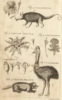 Picture 82 of 153 from A new and complete dictionary of arts and sciences : comprehending all the branches of useful knowledge, with accurate descriptions as well of the various machines, instruments, tools, figures, and schemes necessary for illustrating them, as of the classes, kinds, preparations, and uses of natural productions, whether animals, vegetables, minerals, fossils, or fluids : together with the kingdoms, provinces, cities, towns, and other remarkable places throughout the world : illustrated with above three hundred copper-plates, engraved by Mr. Jefferys, geographer to His Majesty : the whole extracted from the best authors in all languages (1763), leaf 561
