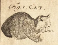An illustration from A new and complete dictionary of arts and sciences : comprehending all the branches of useful knowledge, with accurate descriptions as well of the various machines, instruments, tools, figures, and schemes necessary for illustrating them, as of the classes, kinds, preparations, and uses of natural productions, whether animals, vegetables, minerals, fossils, or fluids : together with the kingdoms, provinces, cities, towns, and other remarkable places throughout the world : illustrated with above three hundred copper-plates, engraved by Mr. Jefferys, geographer to His Majesty : the whole extracted from the best authors in all languages (1763)