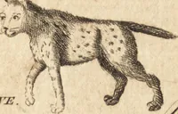An illustration from A new and complete dictionary of arts and sciences : comprehending all the branches of useful knowledge, with accurate descriptions as well of the various machines, instruments, tools, figures, and schemes necessary for illustrating them, as of the classes, kinds, preparations, and uses of natural productions, whether animals, vegetables, minerals, fossils, or fluids : together with the kingdoms, provinces, cities, towns, and other remarkable places throughout the world : illustrated with above three hundred copper-plates, engraved by Mr. Jefferys, geographer to His Majesty : the whole extracted from the best authors in all languages (1763)