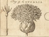 An illustration from A new and complete dictionary of arts and sciences : comprehending all the branches of useful knowledge, with accurate descriptions as well of the various machines, instruments, tools, figures, and schemes necessary for illustrating them, as of the classes, kinds, preparations, and uses of natural productions, whether animals, vegetables, minerals, fossils, or fluids : together with the kingdoms, provinces, cities, towns, and other remarkable places throughout the world : illustrated with above three hundred copper-plates, engraved by Mr. Jefferys, geographer to His Majesty : the whole extracted from the best authors in all languages (1763)