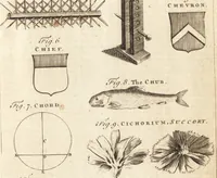 Picture 94 of 153 from A new and complete dictionary of arts and sciences : comprehending all the branches of useful knowledge, with accurate descriptions as well of the various machines, instruments, tools, figures, and schemes necessary for illustrating them, as of the classes, kinds, preparations, and uses of natural productions, whether animals, vegetables, minerals, fossils, or fluids : together with the kingdoms, provinces, cities, towns, and other remarkable places throughout the world : illustrated with above three hundred copper-plates, engraved by Mr. Jefferys, geographer to His Majesty : the whole extracted from the best authors in all languages (1763), leaf 674