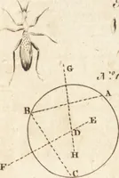 Picture 95 of 153 from A new and complete dictionary of arts and sciences : comprehending all the branches of useful knowledge, with accurate descriptions as well of the various machines, instruments, tools, figures, and schemes necessary for illustrating them, as of the classes, kinds, preparations, and uses of natural productions, whether animals, vegetables, minerals, fossils, or fluids : together with the kingdoms, provinces, cities, towns, and other remarkable places throughout the world : illustrated with above three hundred copper-plates, engraved by Mr. Jefferys, geographer to His Majesty : the whole extracted from the best authors in all languages (1763), leaf 674
