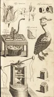 Picture 102 of 153 from A new and complete dictionary of arts and sciences : comprehending all the branches of useful knowledge, with accurate descriptions as well of the various machines, instruments, tools, figures, and schemes necessary for illustrating them, as of the classes, kinds, preparations, and uses of natural productions, whether animals, vegetables, minerals, fossils, or fluids : together with the kingdoms, provinces, cities, towns, and other remarkable places throughout the world : illustrated with above three hundred copper-plates, engraved by Mr. Jefferys, geographer to His Majesty : the whole extracted from the best authors in all languages (1763), leaf 752