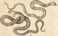 An illustration from A new and complete dictionary of arts and sciences : comprehending all the branches of useful knowledge, with accurate descriptions as well of the various machines, instruments, tools, figures, and schemes necessary for illustrating them, as of the classes, kinds, preparations, and uses of natural productions, whether animals, vegetables, minerals, fossils, or fluids : together with the kingdoms, provinces, cities, towns, and other remarkable places throughout the world : illustrated with above three hundred copper-plates, engraved by Mr. Jefferys, geographer to His Majesty : the whole extracted from the best authors in all languages (1763)