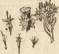 Picture 115 of 153 from A new and complete dictionary of arts and sciences : comprehending all the branches of useful knowledge, with accurate descriptions as well of the various machines, instruments, tools, figures, and schemes necessary for illustrating them, as of the classes, kinds, preparations, and uses of natural productions, whether animals, vegetables, minerals, fossils, or fluids : together with the kingdoms, provinces, cities, towns, and other remarkable places throughout the world : illustrated with above three hundred copper-plates, engraved by Mr. Jefferys, geographer to His Majesty : the whole extracted from the best authors in all languages (1763), leaf 890