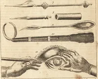 Picture 120 of 153 from A new and complete dictionary of arts and sciences : comprehending all the branches of useful knowledge, with accurate descriptions as well of the various machines, instruments, tools, figures, and schemes necessary for illustrating them, as of the classes, kinds, preparations, and uses of natural productions, whether animals, vegetables, minerals, fossils, or fluids : together with the kingdoms, provinces, cities, towns, and other remarkable places throughout the world : illustrated with above three hundred copper-plates, engraved by Mr. Jefferys, geographer to His Majesty : the whole extracted from the best authors in all languages (1763), leaf 898