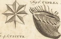 Picture 145 of 153 from A new and complete dictionary of arts and sciences : comprehending all the branches of useful knowledge, with accurate descriptions as well of the various machines, instruments, tools, figures, and schemes necessary for illustrating them, as of the classes, kinds, preparations, and uses of natural productions, whether animals, vegetables, minerals, fossils, or fluids : together with the kingdoms, provinces, cities, towns, and other remarkable places throughout the world : illustrated with above three hundred copper-plates, engraved by Mr. Jefferys, geographer to His Majesty : the whole extracted from the best authors in all languages (1763), leaf 973