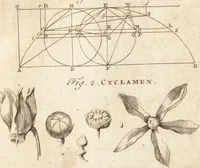 Picture 150 of 153 from A new and complete dictionary of arts and sciences : comprehending all the branches of useful knowledge, with accurate descriptions as well of the various machines, instruments, tools, figures, and schemes necessary for illustrating them, as of the classes, kinds, preparations, and uses of natural productions, whether animals, vegetables, minerals, fossils, or fluids : together with the kingdoms, provinces, cities, towns, and other remarkable places throughout the world : illustrated with above three hundred copper-plates, engraved by Mr. Jefferys, geographer to His Majesty : the whole extracted from the best authors in all languages (1763), leaf 976