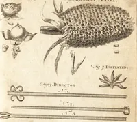 Picture 17 of 133 from A new and complete dictionary of arts and sciences : comprehending all the branches of useful knowledge, with accurate descriptions as well of the various machines, instruments, tools, figures, and schemes necessary for illustrating them, as of the classes, kinds, preparations, and uses of natural productions, whether animals, vegetables, minerals, fossils, or fluids : together with the kingdoms, provinces, cities, towns, and other remarkable places throughout the world : illustrated with above three hundred copper-plates, engraved by Mr. Jefferys, geographer to His Majesty : the whole extracted from the best authors in all languages (1763), leaf 112