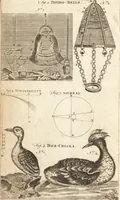 Picture 20 of 133 from A new and complete dictionary of arts and sciences : comprehending all the branches of useful knowledge, with accurate descriptions as well of the various machines, instruments, tools, figures, and schemes necessary for illustrating them, as of the classes, kinds, preparations, and uses of natural productions, whether animals, vegetables, minerals, fossils, or fluids : together with the kingdoms, provinces, cities, towns, and other remarkable places throughout the world : illustrated with above three hundred copper-plates, engraved by Mr. Jefferys, geographer to His Majesty : the whole extracted from the best authors in all languages (1763), leaf 143