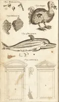 Picture 21 of 133 from A new and complete dictionary of arts and sciences : comprehending all the branches of useful knowledge, with accurate descriptions as well of the various machines, instruments, tools, figures, and schemes necessary for illustrating them, as of the classes, kinds, preparations, and uses of natural productions, whether animals, vegetables, minerals, fossils, or fluids : together with the kingdoms, provinces, cities, towns, and other remarkable places throughout the world : illustrated with above three hundred copper-plates, engraved by Mr. Jefferys, geographer to His Majesty : the whole extracted from the best authors in all languages (1763), leaf 159