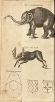 Picture 38 of 133 from A new and complete dictionary of arts and sciences : comprehending all the branches of useful knowledge, with accurate descriptions as well of the various machines, instruments, tools, figures, and schemes necessary for illustrating them, as of the classes, kinds, preparations, and uses of natural productions, whether animals, vegetables, minerals, fossils, or fluids : together with the kingdoms, provinces, cities, towns, and other remarkable places throughout the world : illustrated with above three hundred copper-plates, engraved by Mr. Jefferys, geographer to His Majesty : the whole extracted from the best authors in all languages (1763), leaf 261