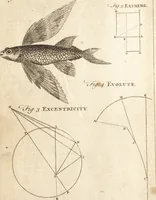 Picture 45 of 133 from A new and complete dictionary of arts and sciences : comprehending all the branches of useful knowledge, with accurate descriptions as well of the various machines, instruments, tools, figures, and schemes necessary for illustrating them, as of the classes, kinds, preparations, and uses of natural productions, whether animals, vegetables, minerals, fossils, or fluids : together with the kingdoms, provinces, cities, towns, and other remarkable places throughout the world : illustrated with above three hundred copper-plates, engraved by Mr. Jefferys, geographer to His Majesty : the whole extracted from the best authors in all languages (1763), leaf 387