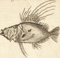 Picture 47 of 133 from A new and complete dictionary of arts and sciences : comprehending all the branches of useful knowledge, with accurate descriptions as well of the various machines, instruments, tools, figures, and schemes necessary for illustrating them, as of the classes, kinds, preparations, and uses of natural productions, whether animals, vegetables, minerals, fossils, or fluids : together with the kingdoms, provinces, cities, towns, and other remarkable places throughout the world : illustrated with above three hundred copper-plates, engraved by Mr. Jefferys, geographer to His Majesty : the whole extracted from the best authors in all languages (1763), leaf 414