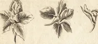 Picture 2 of 133 from A new and complete dictionary of arts and sciences : comprehending all the branches of useful knowledge, with accurate descriptions as well of the various machines, instruments, tools, figures, and schemes necessary for illustrating them, as of the classes, kinds, preparations, and uses of natural productions, whether animals, vegetables, minerals, fossils, or fluids : together with the kingdoms, provinces, cities, towns, and other remarkable places throughout the world : illustrated with above three hundred copper-plates, engraved by Mr. Jefferys, geographer to His Majesty : the whole extracted from the best authors in all languages (1763), leaf 49