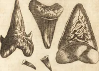 Picture 90 of 133 from A new and complete dictionary of arts and sciences : comprehending all the branches of useful knowledge, with accurate descriptions as well of the various machines, instruments, tools, figures, and schemes necessary for illustrating them, as of the classes, kinds, preparations, and uses of natural productions, whether animals, vegetables, minerals, fossils, or fluids : together with the kingdoms, provinces, cities, towns, and other remarkable places throughout the world : illustrated with above three hundred copper-plates, engraved by Mr. Jefferys, geographer to His Majesty : the whole extracted from the best authors in all languages (1763), leaf 816