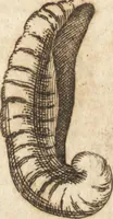 An illustration from A new and complete dictionary of arts and sciences : comprehending all the branches of useful knowledge, with accurate descriptions as well of the various machines, instruments, tools, figures, and schemes necessary for illustrating them, as of the classes, kinds, preparations, and uses of natural productions, whether animals, vegetables, minerals, fossils, or fluids : together with the kingdoms, provinces, cities, towns, and other remarkable places throughout the world : illustrated with above three hundred copper-plates, engraved by Mr. Jefferys, geographer to His Majesty : the whole extracted from the best authors in all languages (1763)