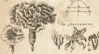 Picture 16 of 133 from A new and complete dictionary of arts and sciences : comprehending all the branches of useful knowledge, with accurate descriptions as well of the various machines, instruments, tools, figures, and schemes necessary for illustrating them, as of the classes, kinds, preparations, and uses of natural productions, whether animals, vegetables, minerals, fossils, or fluids : together with the kingdoms, provinces, cities, towns, and other remarkable places throughout the world : illustrated with above three hundred copper-plates, engraved by Mr. Jefferys, geographer to His Majesty : the whole extracted from the best authors in all languages (1763), leaf 87