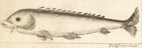 Picture 111 of 133 from A new and complete dictionary of arts and sciences : comprehending all the branches of useful knowledge, with accurate descriptions as well of the various machines, instruments, tools, figures, and schemes necessary for illustrating them, as of the classes, kinds, preparations, and uses of natural productions, whether animals, vegetables, minerals, fossils, or fluids : together with the kingdoms, provinces, cities, towns, and other remarkable places throughout the world : illustrated with above three hundred copper-plates, engraved by Mr. Jefferys, geographer to His Majesty : the whole extracted from the best authors in all languages (1763), leaf 965