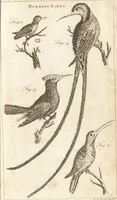 An illustration from A new and complete dictionary of arts and sciences : comprehending all the branches of useful knowledge, with accurate descriptions as well of the various machines, instruments, tools, figures, and schemes necessary for illustrating them, as of the classes, kinds, preparations, and uses of natural productions, whether animals, vegetables, minerals, fossils, or fluids : together with the kingdoms, provinces, cities, towns, and other remarkable places throughout the world : illustrated with above three hundred copper-plates, engraved by Mr. Jefferys, geographer to His Majesty : the whole extracted from the best authors in all languages (1763)