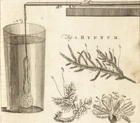 An illustration from A new and complete dictionary of arts and sciences : comprehending all the branches of useful knowledge, with accurate descriptions as well of the various machines, instruments, tools, figures, and schemes necessary for illustrating them, as of the classes, kinds, preparations, and uses of natural productions, whether animals, vegetables, minerals, fossils, or fluids : together with the kingdoms, provinces, cities, towns, and other remarkable places throughout the world : illustrated with above three hundred copper-plates, engraved by Mr. Jefferys, geographer to His Majesty : the whole extracted from the best authors in all languages (1763)