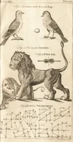 An illustration from A new and complete dictionary of arts and sciences : comprehending all the branches of useful knowledge, with accurate descriptions as well of the various machines, instruments, tools, figures, and schemes necessary for illustrating them, as of the classes, kinds, preparations, and uses of natural productions, whether animals, vegetables, minerals, fossils, or fluids : together with the kingdoms, provinces, cities, towns, and other remarkable places throughout the world : illustrated with above three hundred copper-plates, engraved by Mr. Jefferys, geographer to His Majesty : the whole extracted from the best authors in all languages (1763)