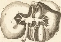 An illustration from A new and complete dictionary of arts and sciences : comprehending all the branches of useful knowledge, with accurate descriptions as well of the various machines, instruments, tools, figures, and schemes necessary for illustrating them, as of the classes, kinds, preparations, and uses of natural productions, whether animals, vegetables, minerals, fossils, or fluids : together with the kingdoms, provinces, cities, towns, and other remarkable places throughout the world : illustrated with above three hundred copper-plates, engraved by Mr. Jefferys, geographer to His Majesty : the whole extracted from the best authors in all languages (1763)