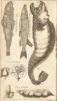 An illustration from A new and complete dictionary of arts and sciences : comprehending all the branches of useful knowledge, with accurate descriptions as well of the various machines, instruments, tools, figures, and schemes necessary for illustrating them, as of the classes, kinds, preparations, and uses of natural productions, whether animals, vegetables, minerals, fossils, or fluids : together with the kingdoms, provinces, cities, towns, and other remarkable places throughout the world : illustrated with above three hundred copper-plates, engraved by Mr. Jefferys, geographer to His Majesty : the whole extracted from the best authors in all languages (1763)