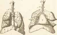 An illustration from A new and complete dictionary of arts and sciences : comprehending all the branches of useful knowledge, with accurate descriptions as well of the various machines, instruments, tools, figures, and schemes necessary for illustrating them, as of the classes, kinds, preparations, and uses of natural productions, whether animals, vegetables, minerals, fossils, or fluids : together with the kingdoms, provinces, cities, towns, and other remarkable places throughout the world : illustrated with above three hundred copper-plates, engraved by Mr. Jefferys, geographer to His Majesty : the whole extracted from the best authors in all languages (1763)