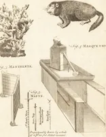 Picture 31 of 115 from A new and complete dictionary of arts and sciences : comprehending all the branches of useful knowledge, with accurate descriptions as well of the various machines, instruments, tools, figures, and schemes necessary for illustrating them, as of the classes, kinds, preparations, and uses of natural productions, whether animals, vegetables, minerals, fossils, or fluids : together with the kingdoms, provinces, cities, towns, and other remarkable places throughout the world : illustrated with above three hundred copper-plates, engraved by Mr. Jefferys, geographer to His Majesty : the whole extracted from the best authors in all languages (1763), leaf 216