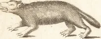 An illustration from A new and complete dictionary of arts and sciences : comprehending all the branches of useful knowledge, with accurate descriptions as well of the various machines, instruments, tools, figures, and schemes necessary for illustrating them, as of the classes, kinds, preparations, and uses of natural productions, whether animals, vegetables, minerals, fossils, or fluids : together with the kingdoms, provinces, cities, towns, and other remarkable places throughout the world : illustrated with above three hundred copper-plates, engraved by Mr. Jefferys, geographer to His Majesty : the whole extracted from the best authors in all languages (1763)