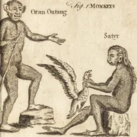 An illustration from A new and complete dictionary of arts and sciences : comprehending all the branches of useful knowledge, with accurate descriptions as well of the various machines, instruments, tools, figures, and schemes necessary for illustrating them, as of the classes, kinds, preparations, and uses of natural productions, whether animals, vegetables, minerals, fossils, or fluids : together with the kingdoms, provinces, cities, towns, and other remarkable places throughout the world : illustrated with above three hundred copper-plates, engraved by Mr. Jefferys, geographer to His Majesty : the whole extracted from the best authors in all languages (1763)