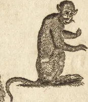 An illustration from A new and complete dictionary of arts and sciences : comprehending all the branches of useful knowledge, with accurate descriptions as well of the various machines, instruments, tools, figures, and schemes necessary for illustrating them, as of the classes, kinds, preparations, and uses of natural productions, whether animals, vegetables, minerals, fossils, or fluids : together with the kingdoms, provinces, cities, towns, and other remarkable places throughout the world : illustrated with above three hundred copper-plates, engraved by Mr. Jefferys, geographer to His Majesty : the whole extracted from the best authors in all languages (1763)